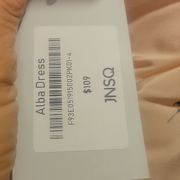 031 JNSQ 100% Mulberry Silk Dress - Picture 15 of 15